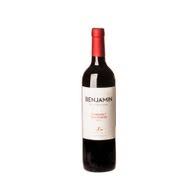 Vinho Benjamin Nieto Templanillo